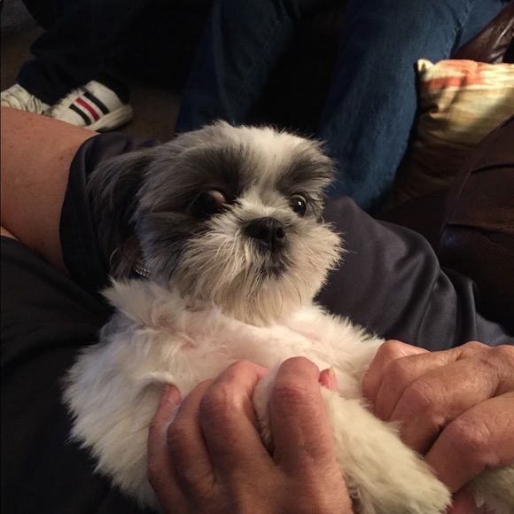 PLEASE, Read This Information. Thank you. - Picture 3 of 6